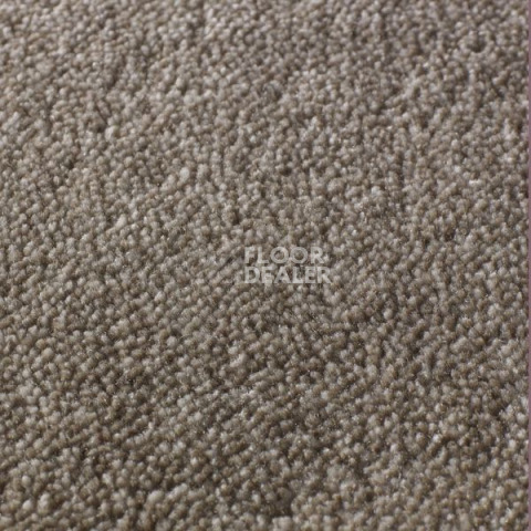 Ковролин Jacaranda Carpets Rajgarh Dappled Brown фото 1 | FLOORDEALER
